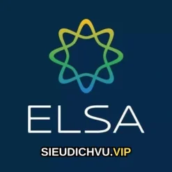 Elsa
