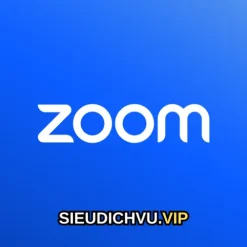 Zoom Pro
